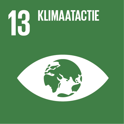 SDG-13